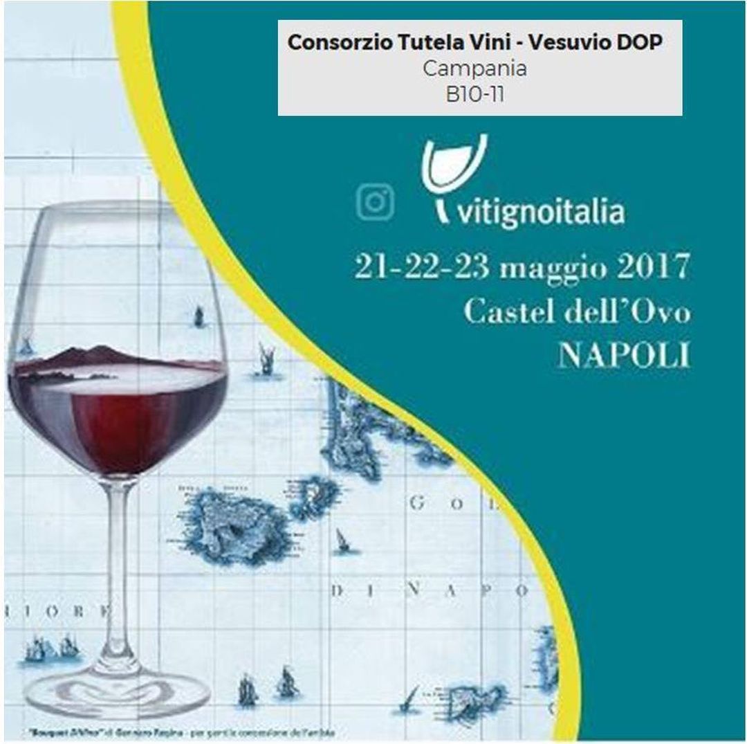 Vitigno Italia 2017 | Il Consorzio Tutela Vini Vesuvio