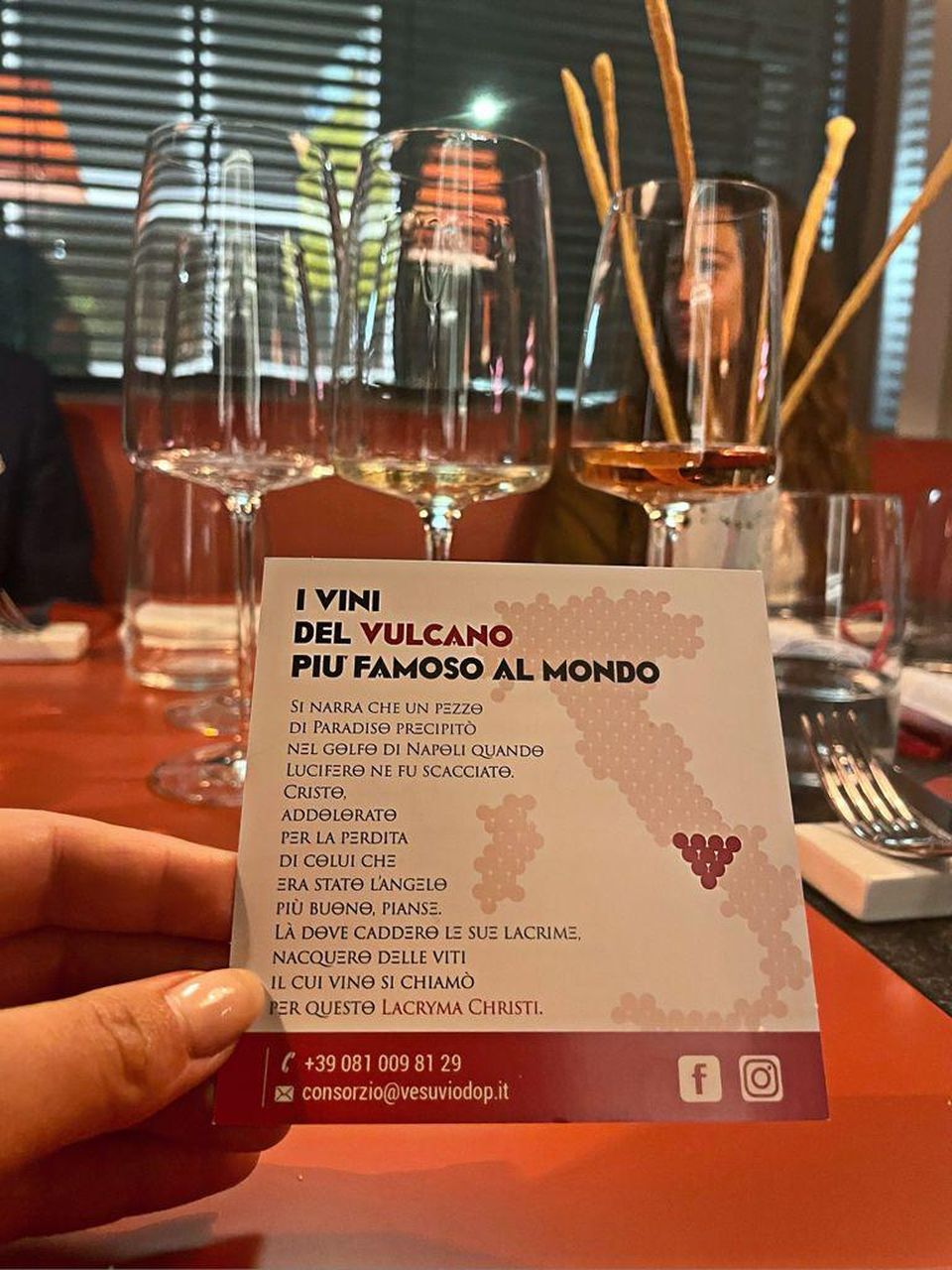 Milano Wine Week 2021 | Consorzio Tutela vini Vesuvio DOP