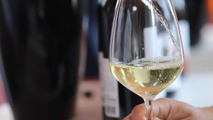 Campania.Wine Sustainability | Consorzio Tutela vini Vesuvio DOP