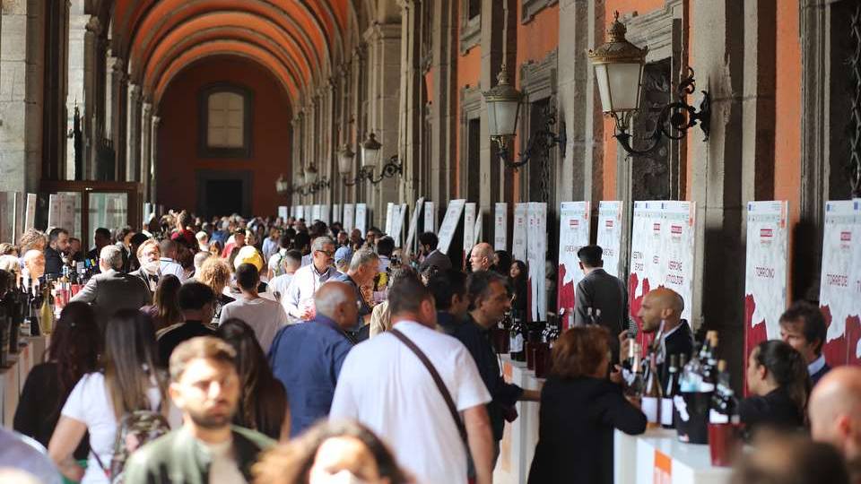 Campania.Wine Sustainability | Consorzio Tutela vini Vesuvio DOP