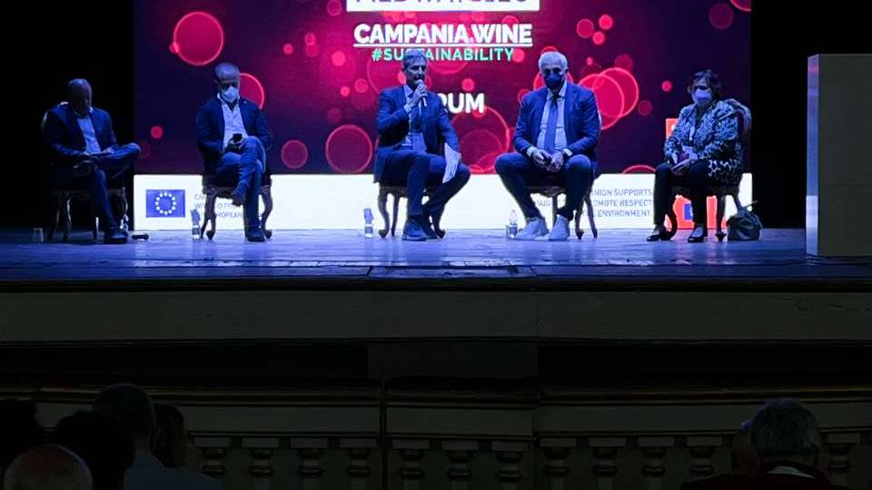Campania.Wine Sustainability | Consorzio Tutela vini Vesuvio DOP