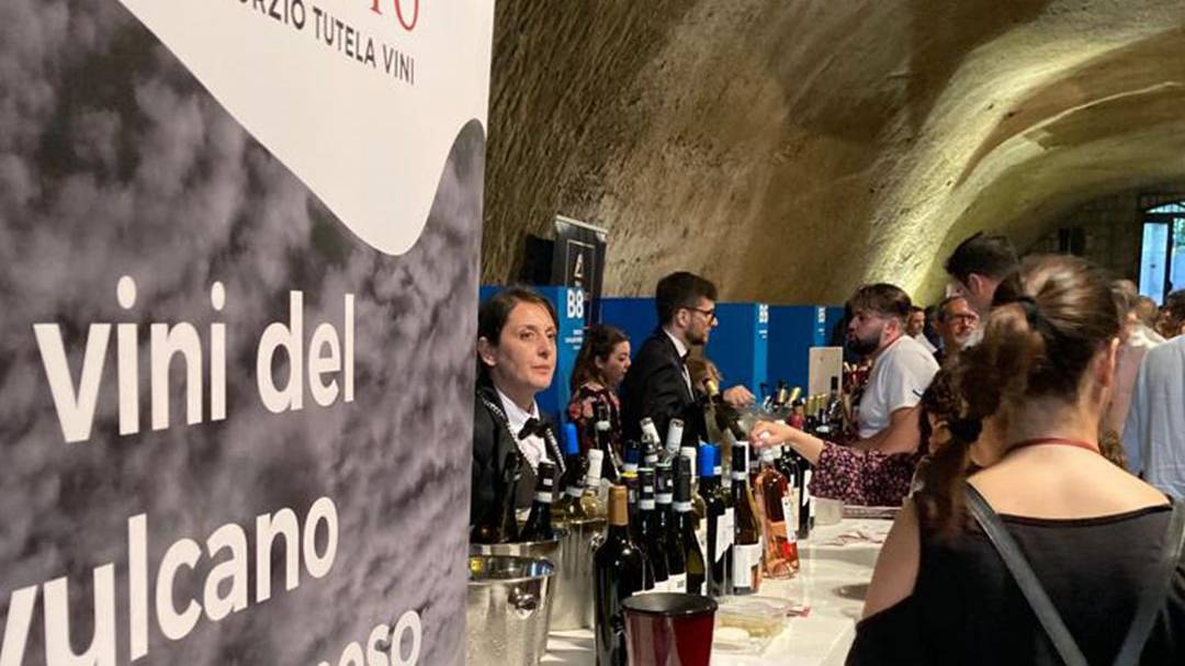 VitignoItalia Napoli | Consorzio Tutela vini Vesuvio DOP