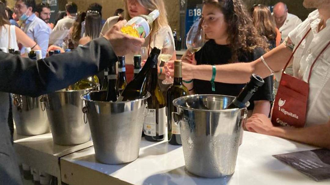 VitignoItalia Napoli | Consorzio Tutela vini Vesuvio DOP