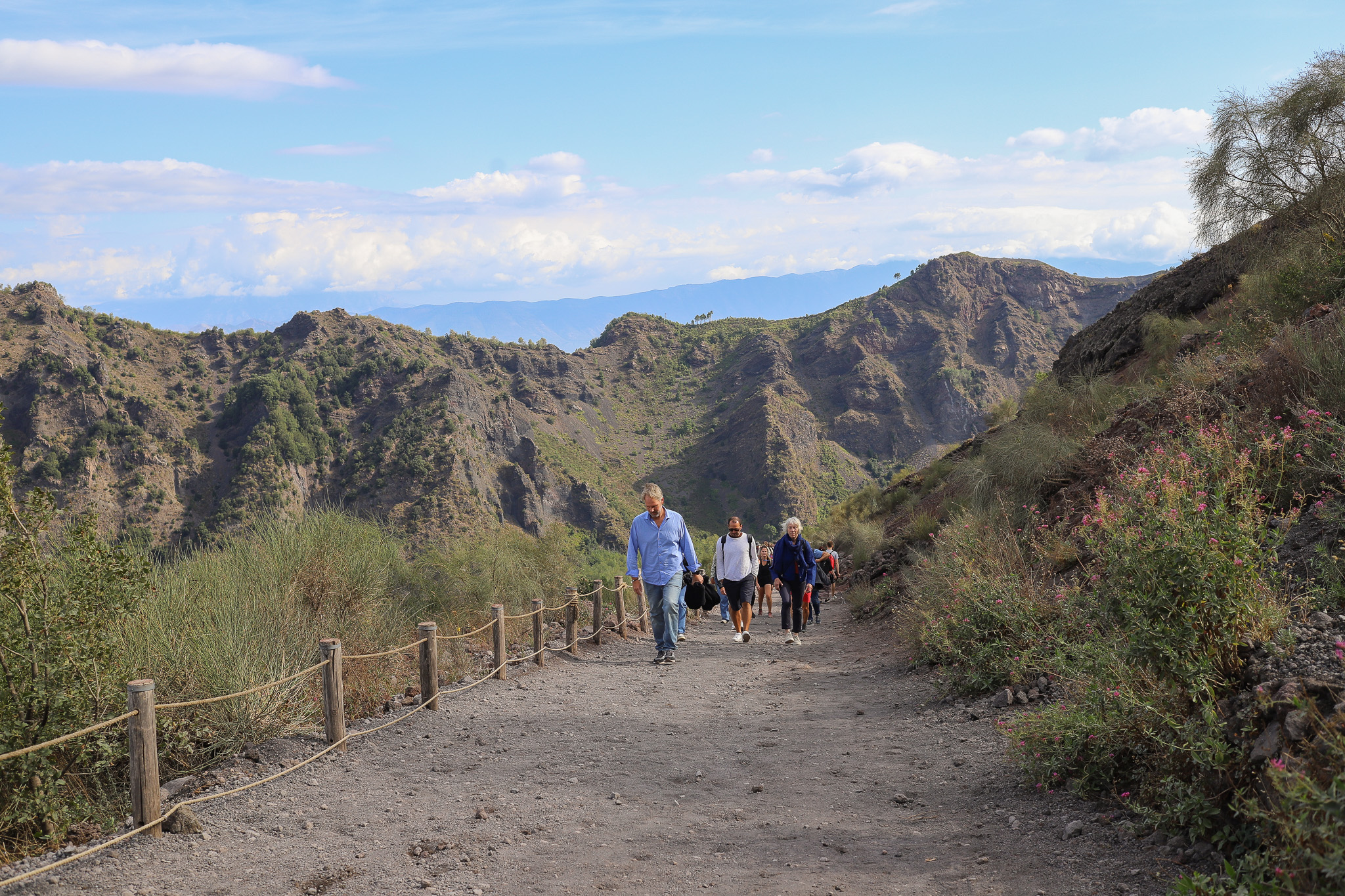 Vesuvio Wines Experience Tour: Wine and Territory