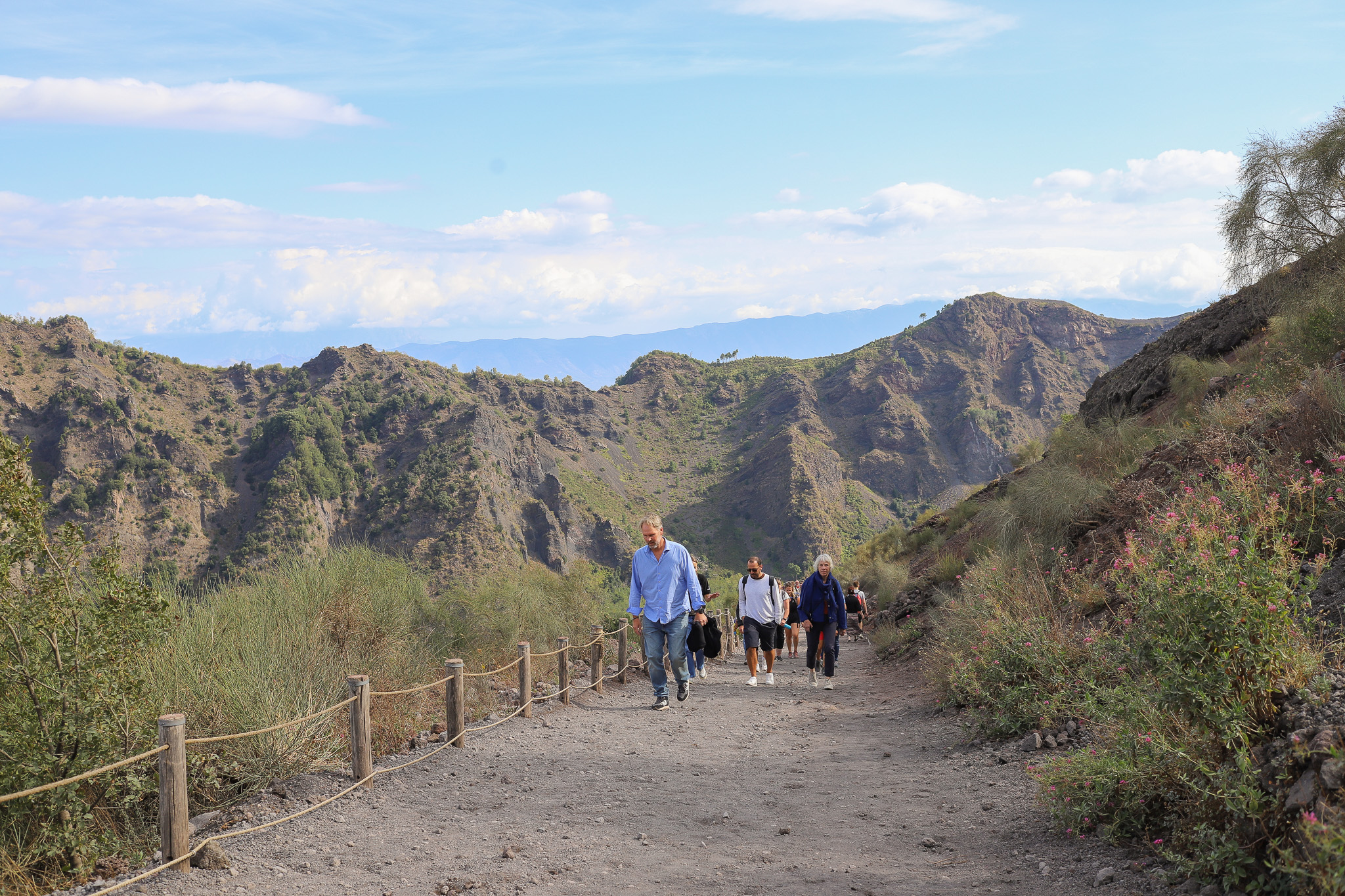 Vesuvio Wines Experience Tour: Wine and Territory