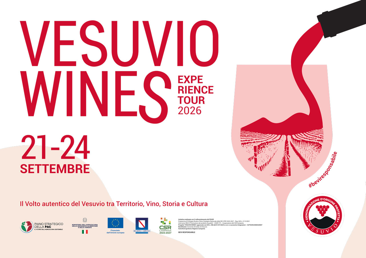 Vesuvio Wines Experience Tour: Wine and Territory