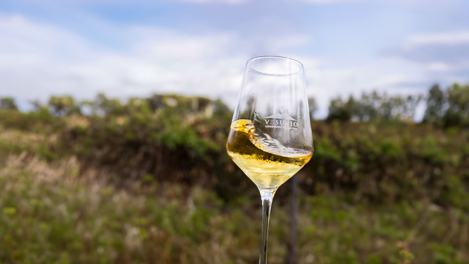 Vini in Centro 2026 | Consorzio Vini Vesuvio DOP